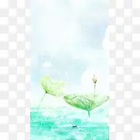 荷叶H5背景