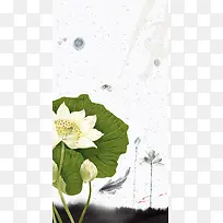 荷花海报背景图