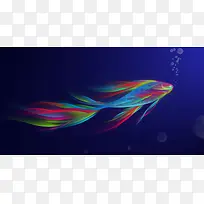 彩色线条鱼
