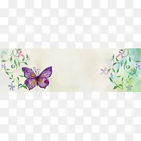 蝴蝶花朵背景图