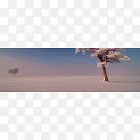 冬天 雪地 背景图