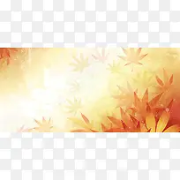 枫叶插画质感背景