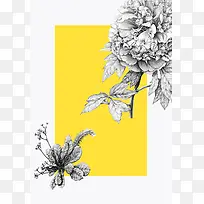 手绘铅笔画花卉封面背景素材