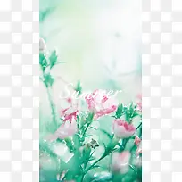 文艺清新花卉植物夏日H5背景