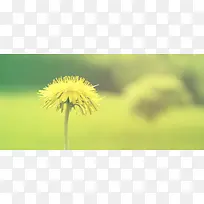 淘宝背景图