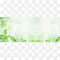 绿色树叶