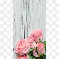 粉色鲜花花朵H5背景