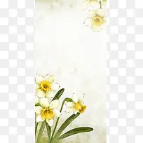 现代春天清新花卉美妆节电商海报背景