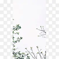 绿色植物H5背景