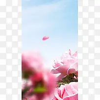 蓝天小清新玫瑰花H5背景