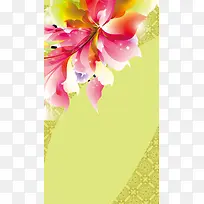 女装H5背景