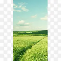 蓝天白云清新草原H5背景