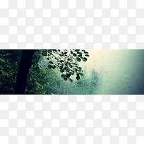 下雨中的树木背景