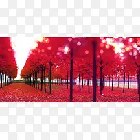 秋冬红色树林背景海报banner