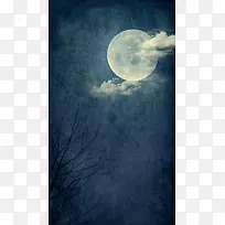 月亮树木夜色背景