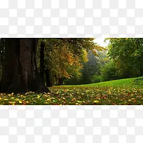 淘宝背景图