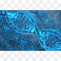 蓝色渐变DNA结构海报背景