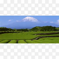 广阔的田地背景