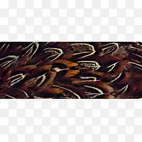 羽毛纹理banner