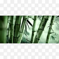 中国风竹林摄影背景