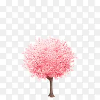 粉色樱花树粉色樱花