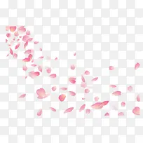 飞舞的粉花瓣