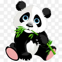 一只吃竹子的大熊猫