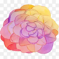插画风格画彩色花朵