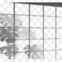手绘创意窗户框植物投影
