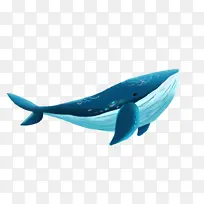 一只蓝色漂亮的鲸鱼
