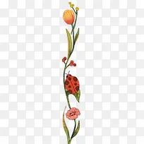 七星瓢虫与鲜花