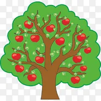 苹果树，植物，树林，苹果