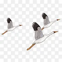 鹤起飞的仙鹤儿童插画卡通