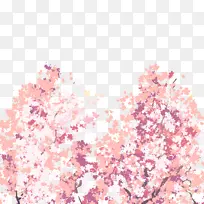 樱花装饰元素樱花春天出游