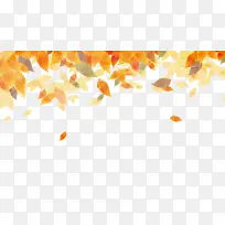 秋天黄色的树叶