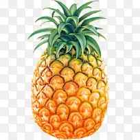 菠萝水果图片png