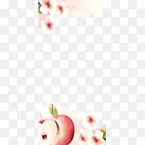 水彩手绘水蜜桃樱花水果边框PNG