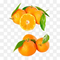 柑橘类水果爱媛