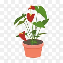 红掌、家居植物、室内盆栽、矢量元素