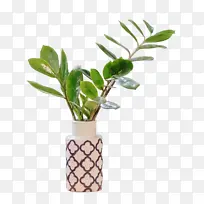 陶瓷花纹花瓶插着绿叶