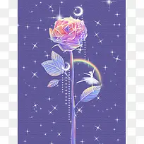 玫瑰星星彩虹花