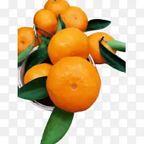 龙门年桔 橘子