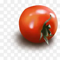 熟透的西红柿手绘西红柿