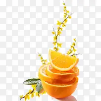 橙子树枝花朵橙子切片