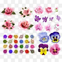 花朵花卉矢量花
