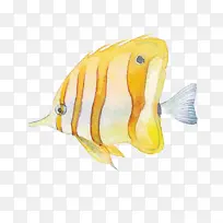 手绘海底鱼2（886x886）