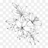 手绘花线描黑白