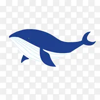 动物 鲸鱼 手绘