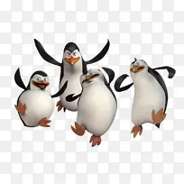 企鹅，小企鹅，卡通企鹅