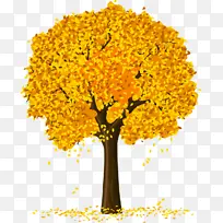 手绘高清秋天的香樟树